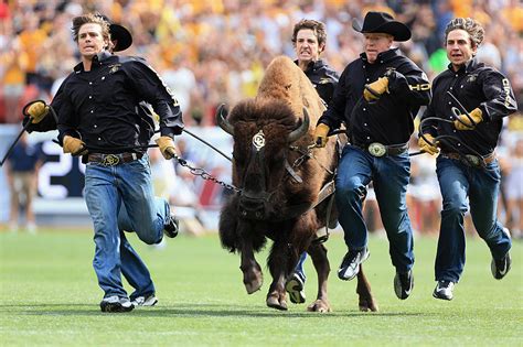 CU's Mascot Ranked as Being One of the Best Ever