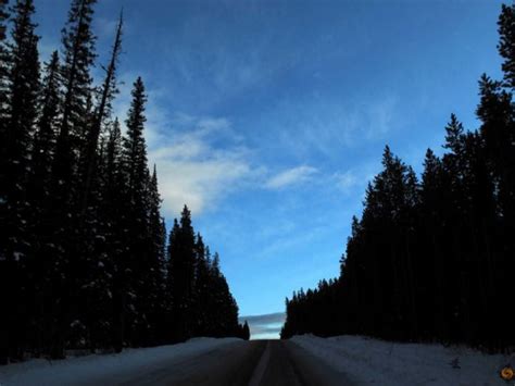 Canada grizzly bear attack victims were on permitted hike, carrying ...