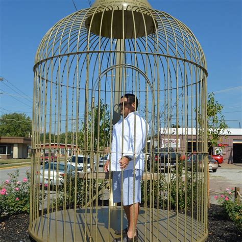 Giant Bird Cage - All You MUST Know Before You Go (2024)