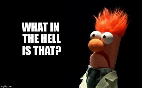 Beaker shocked face - Imgflip