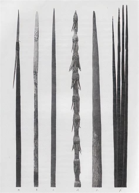 WOODEN TOOLS AND WEAPONS – Aboriginal Culture | INTRODUCTION TO AUSTRALIA'S ABORIGINAL CULTURE