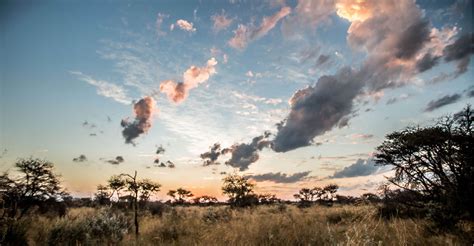 Kambaku Wildlife Reserve | Kambaku