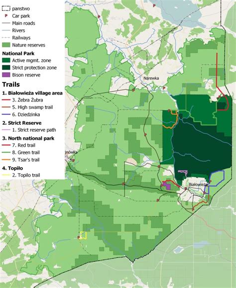 A brief tourist guide to Białowieża Forest – Tom Diserens