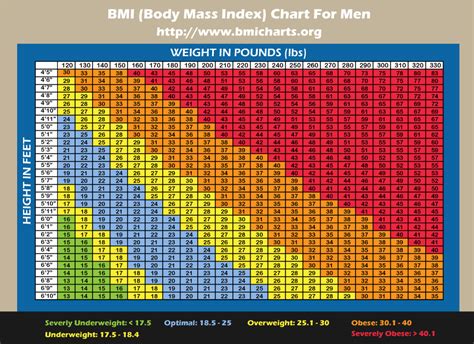 bmi scale male chart Bmi for men: figures it out work?