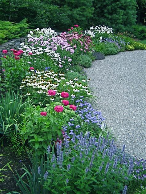 17 Best images about Perennial Gardens on Pinterest | Gardens, Delphiniums and Purple salvia