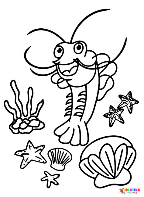 Shrimp Images Coloring Page - Free Printable Coloring Pages