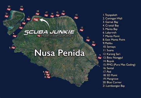 Diving Nusa Penida | Scuba Junkie Penida