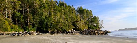 Tonquin Beach Comments | Tofino Trails