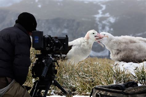 The tech behind Our Planet, David Attenborough's first Netflix show ...