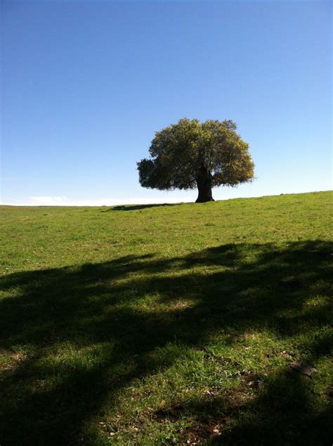 A Visit to North Table Mountain, Oroville, California - WanderWisdom