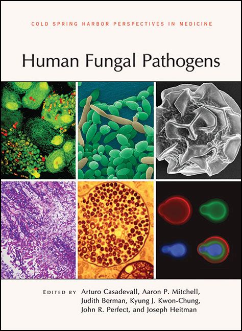 Human Fungal Pathogens