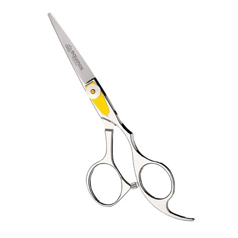 Your Ultimate Guide on Different Types of Scissors for Cutting Hair