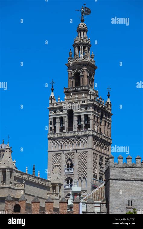 Famous tower of Giralda, Islamic architecture built by the Almohads and crowned by a Renaissance ...