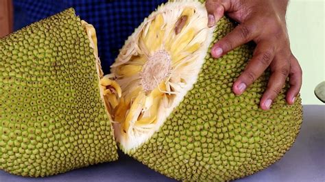 Jackfruit How To Cut - Twin Fruit