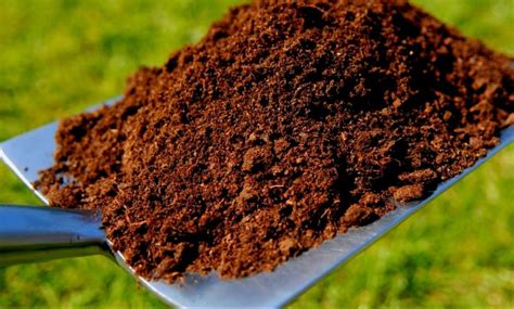 Methods for Determining Soil Acidity and Alkalinity - Outdoorstip