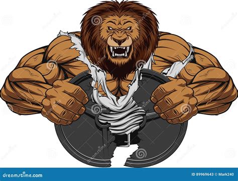 Angry lion strong stock vector. Illustration of exercise - 89969643