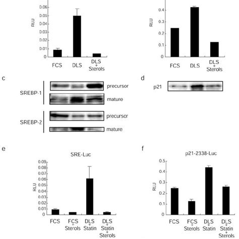 Activation of p21 gene promoter by SREBP-1a. a. Activation of p21... | Download Scientific Diagram