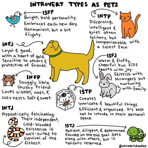 Introverts as pets | Introvert doodles