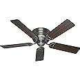 Amazon.com: Hunter Fan Company 51060 Hunter Indoor Low Profile IV Ceiling Fan with Pull Chain ...