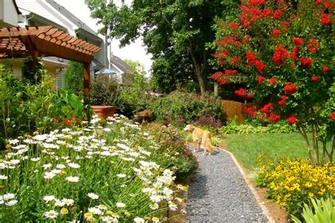 Dog-Friendly Garden Design | HGTV