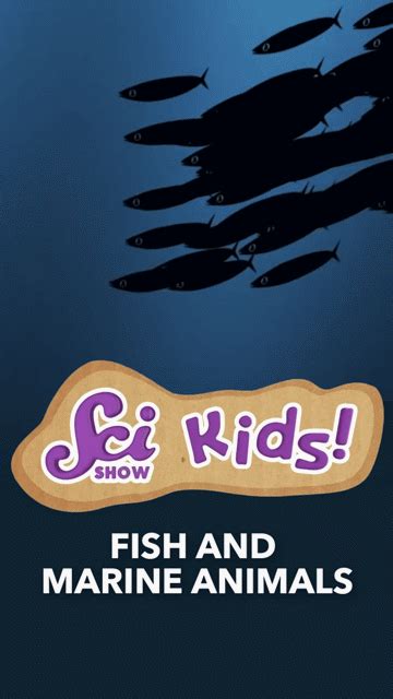 SciShow Kids: Fish and Marine Animals | ClickView