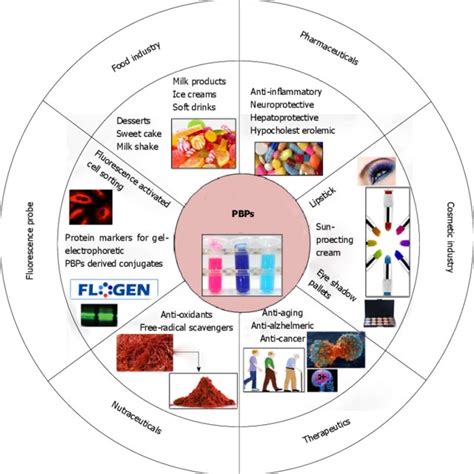 (PDF) Recent advances in production, purification and applications of ...