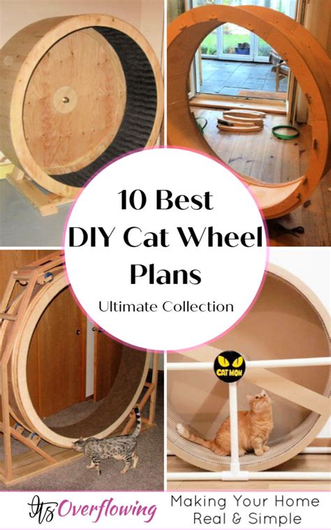 10 Best DIY Cat Wheel Plans (Make a Cat Exercise Wheel)