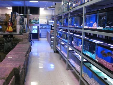 Aquatic Critter Inc - Pet Stores - Nashville, TN - Yelp