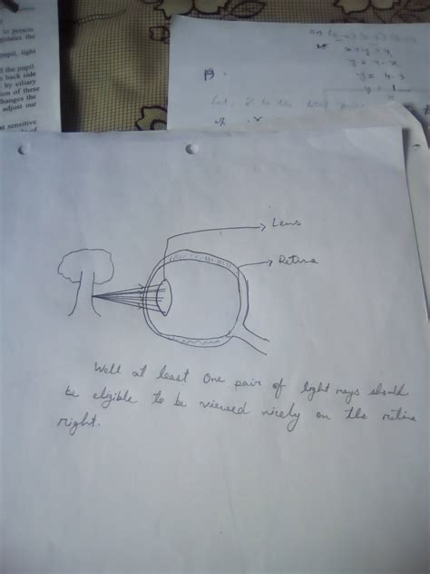 optics - Why is eye accommodation necessary? - Physics Stack Exchange