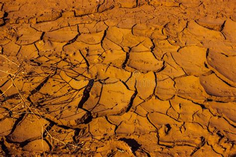 Barren land stock image. Image of ground, geology, closeup - 254965345