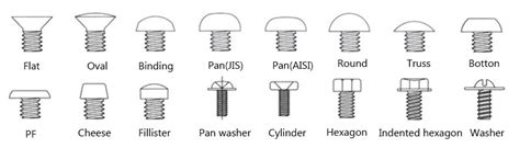 Screw Head Types Chart - photos and vectors