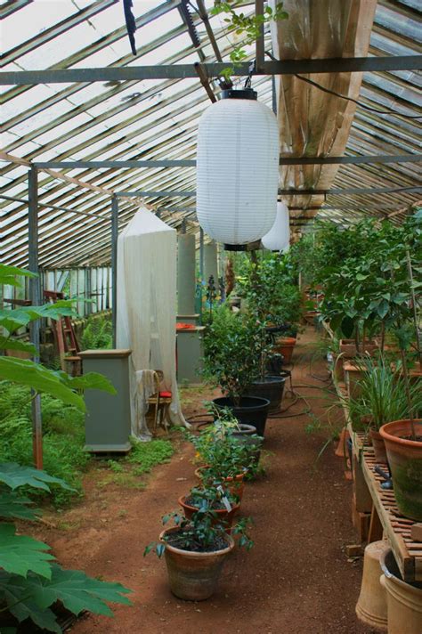 Antique greenhouse inside | Greenhouse, Antiques, Plants