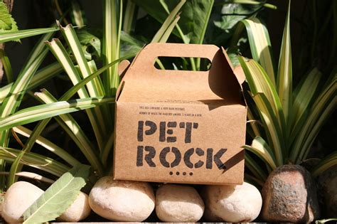 Pet Rock - Best Just like that Gifts Online in India