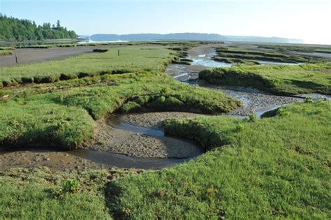 Nisqually National Wildlife Refuge - Hiking Trails - Map