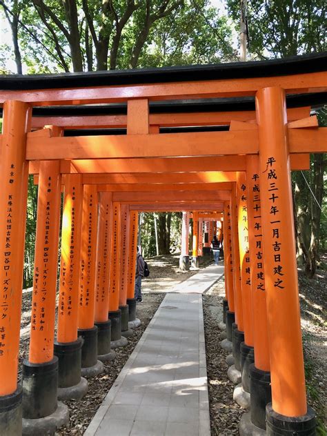 Fushimi Inari Shrine | FatherSonBirding