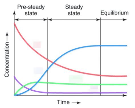 Enzyme Kinetics Diagram | Quizlet