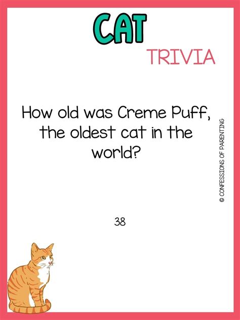 50 Purr-fect Cat Trivia Questions and Answers