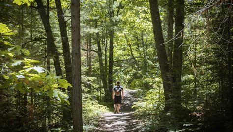 Trail Running: How to Hit Your Stride on Michigan Trails | Michigan