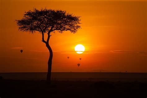 Sunrise in Maasai Mara National Reserve, Kenya