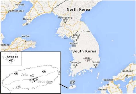 Jeju Island South Korea Map – The World Map