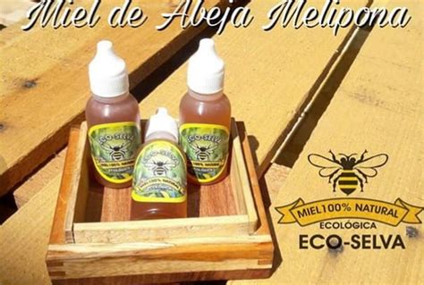Miel De Abeja Melipona 100 Pura - $ 420.00 en Mercado Libre