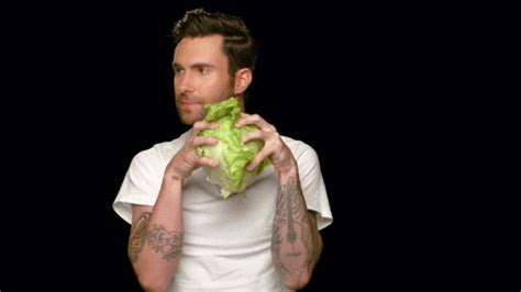 Veggies GIF - Find & Share on GIPHY