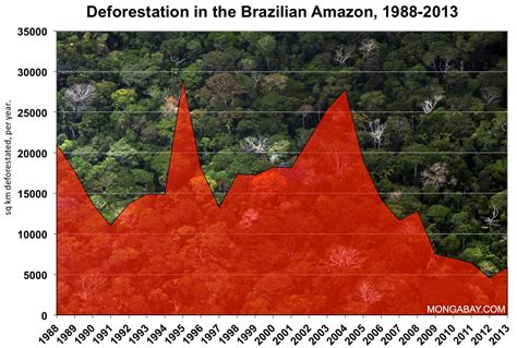 Tropical Rainforest Climate Graph