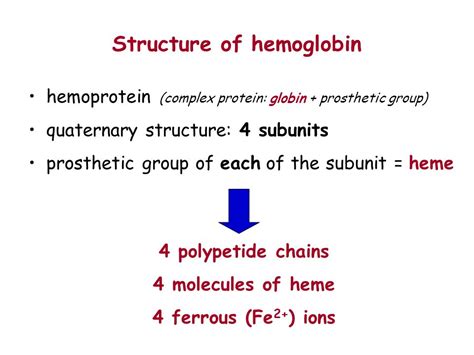 Molecule Makeup Of Hemoglobin | Makeupview.co