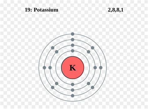 See The Electron Configuration Of Atoms Of The Elements - Potassium ...