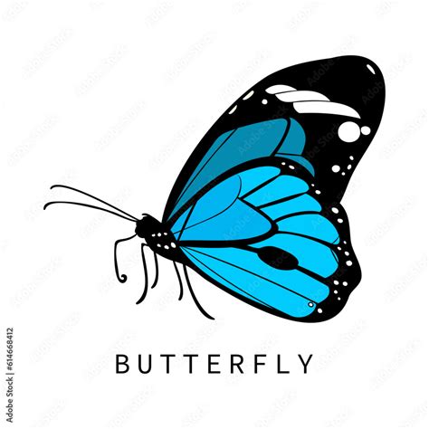 Blue butterfly logo in a flat design. Vector illustration Stock Vector ...