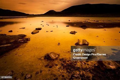 Greenwood Top View Photos and Premium High Res Pictures - Getty Images