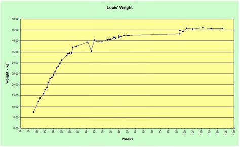 Weight Watching – Louis the Rhodesian Ridgeback