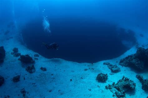 Blue Hole Diving at one of the Best Dive Sites in the Bahamas - All Star Liveaboards