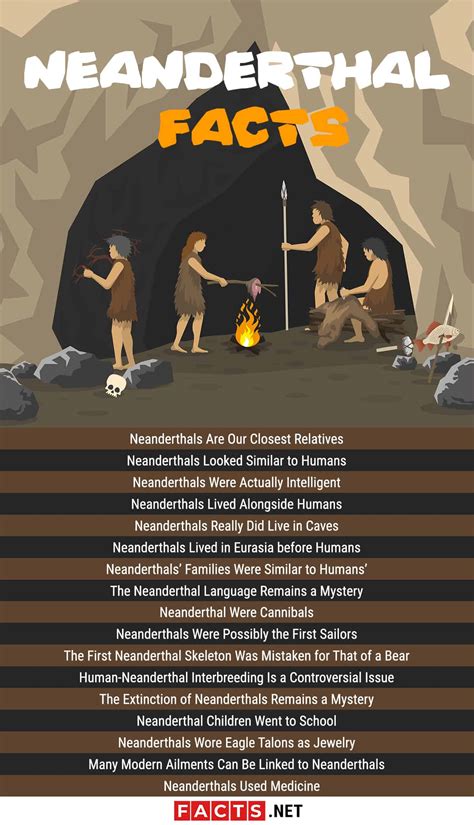 Top 17 Neanderthal Facts - Language, Behavior, History & More | Facts.net